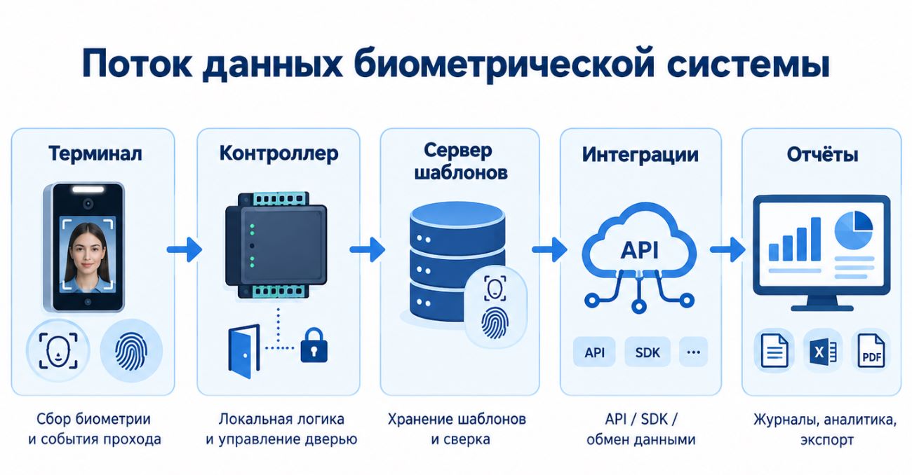Инфографика архитектуры биометрической СКУД